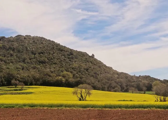 Els Masos De Caula